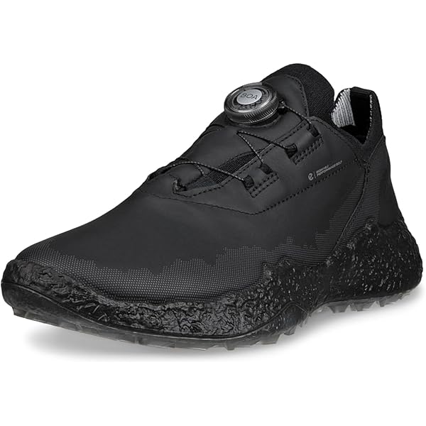 Amazon.com | ECCO Men's Core BOA Waterproof Golf Shoe, Black, 5